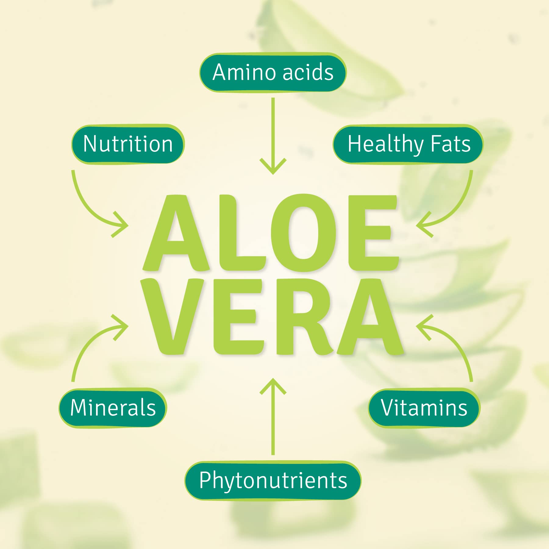 Aloe Life Stomach Plus utilisation pratique jour et nuit.