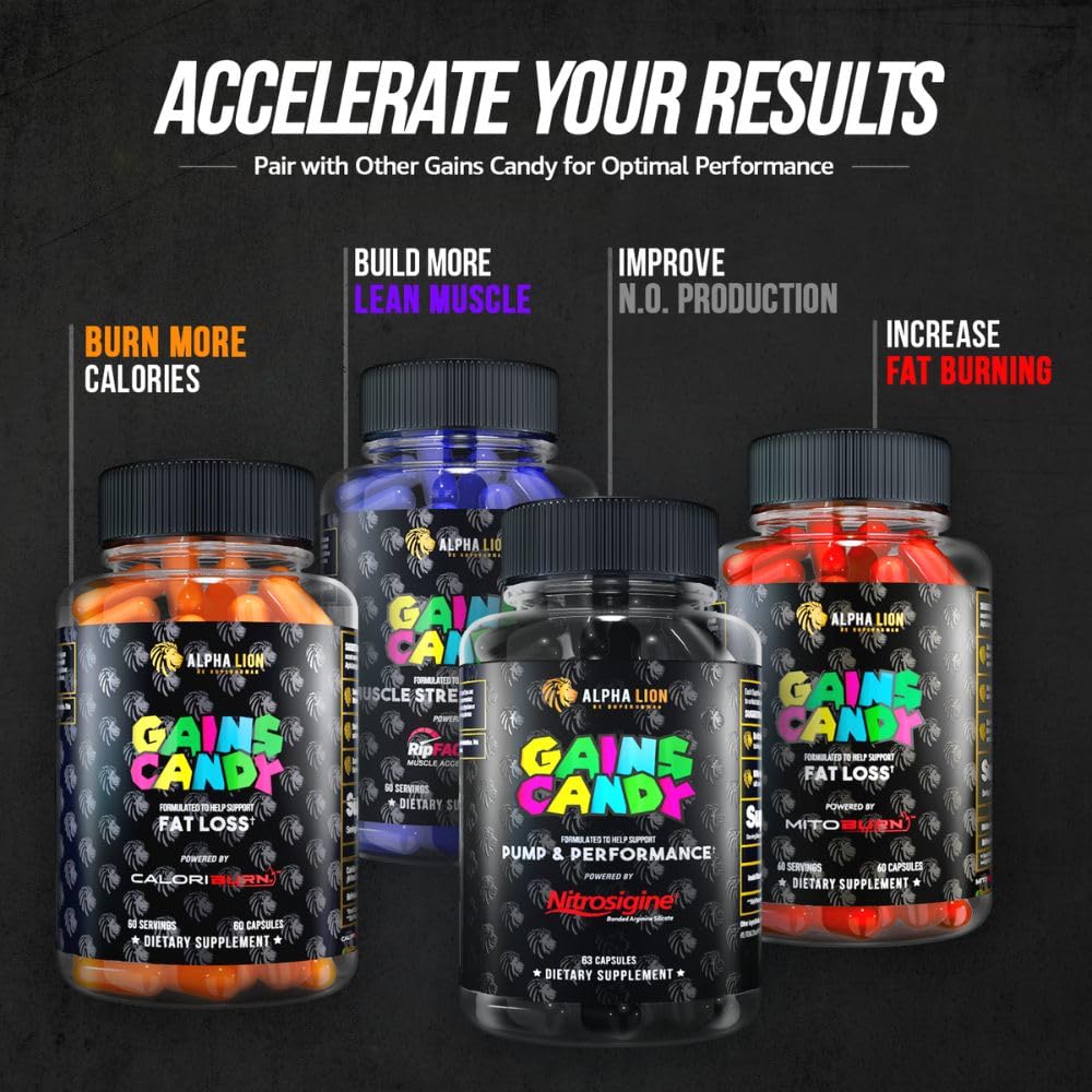 ALPHA LION Gains Candy – emballage pratique pour transport et accès rapide