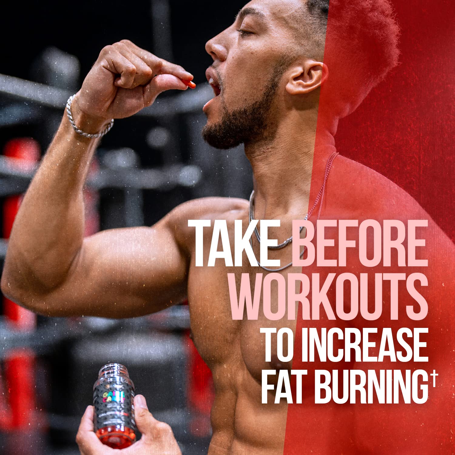 Performance sportive accrue potentielle avec Gains Candy ALPHA LION