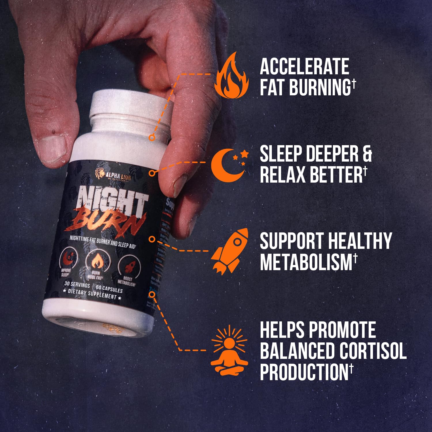 ALPHA LION Night Burn – etiquette-produit détaillant les bienfaits potentiels pour le repos et le métabolisme.