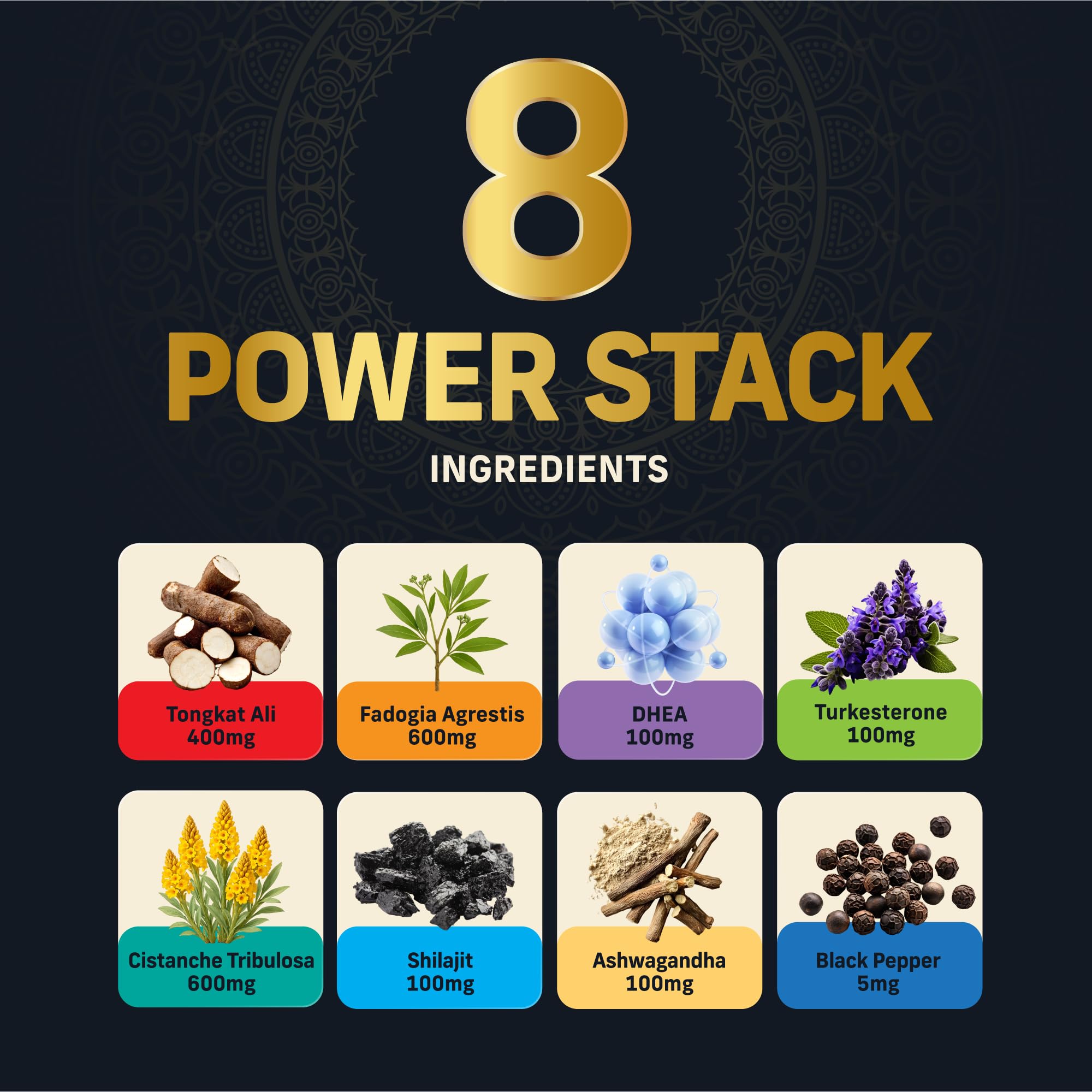 Alpha Tribe Protocol – ingrédients naturels comme Tongkat Ali pour énergie et performance.