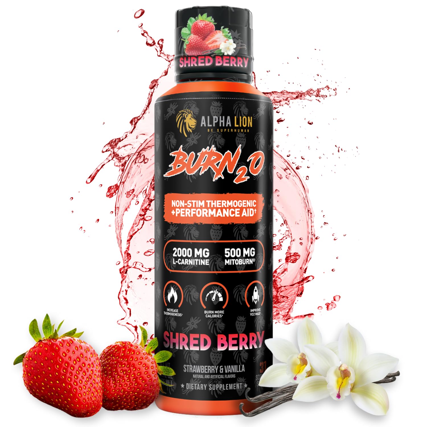 ALPHA LION Burn2O – bouteille L-Carnitine, énergie durable sans caféine.