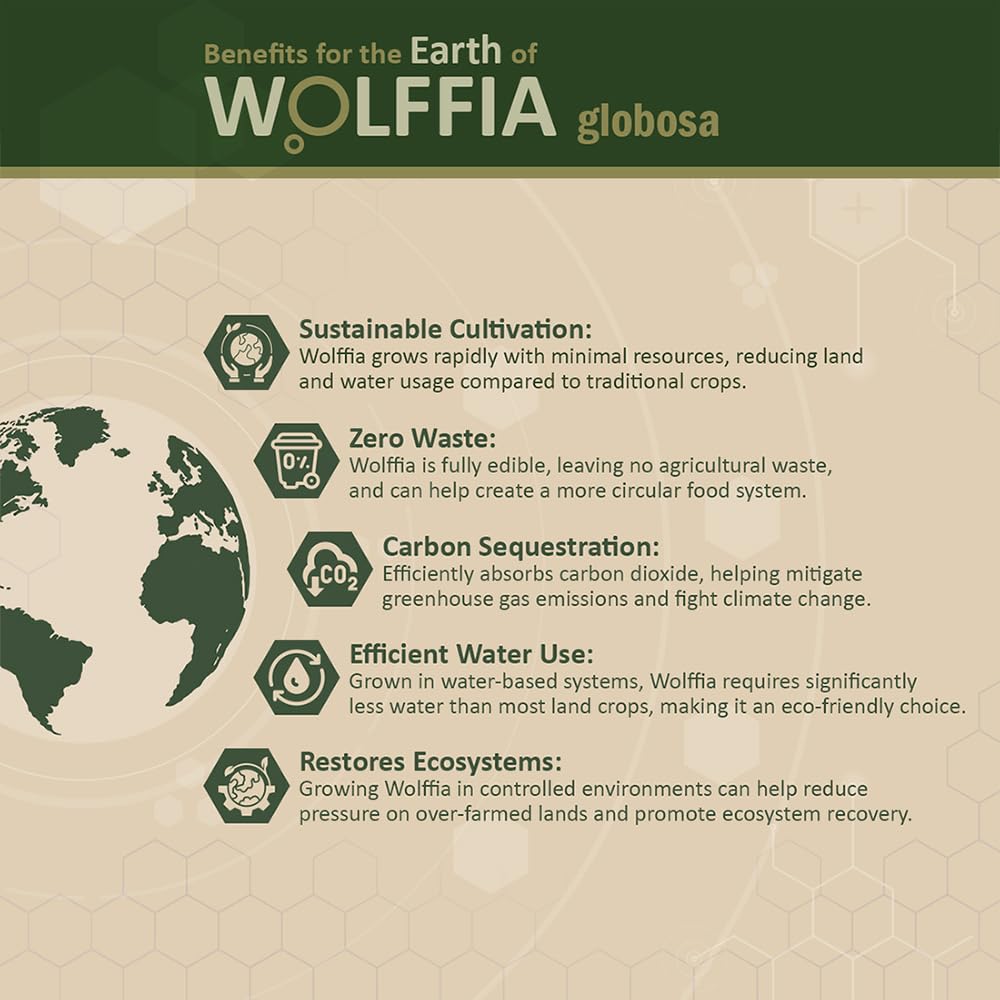 AMA GROW Wolffia bol matin, petit-déjeuner nourrissant et léger.