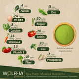 Ama GROW Wolffia en sachet 60 g, pratique pour smoothies riches en nutriments.
