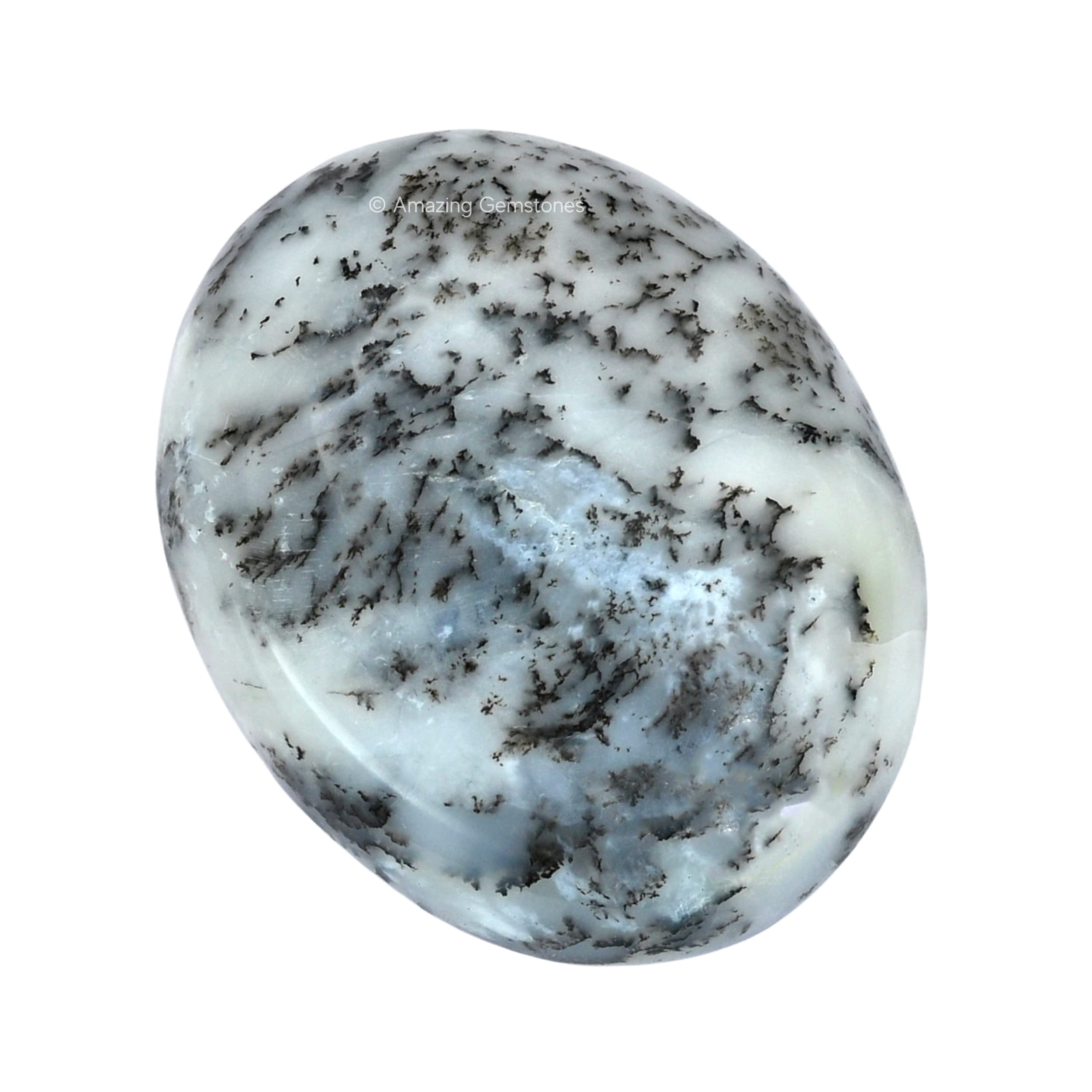 Amazing Gemstone dendrite opale : cadeau d'anniversaire parfait et raffiné.