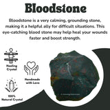 Amazing Gemstone Bloodstone : détail de grain brillant sur pierre brute.