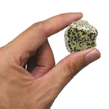 Amazing Gemstone jaspe dalmatien — gros plan révèle les détails.