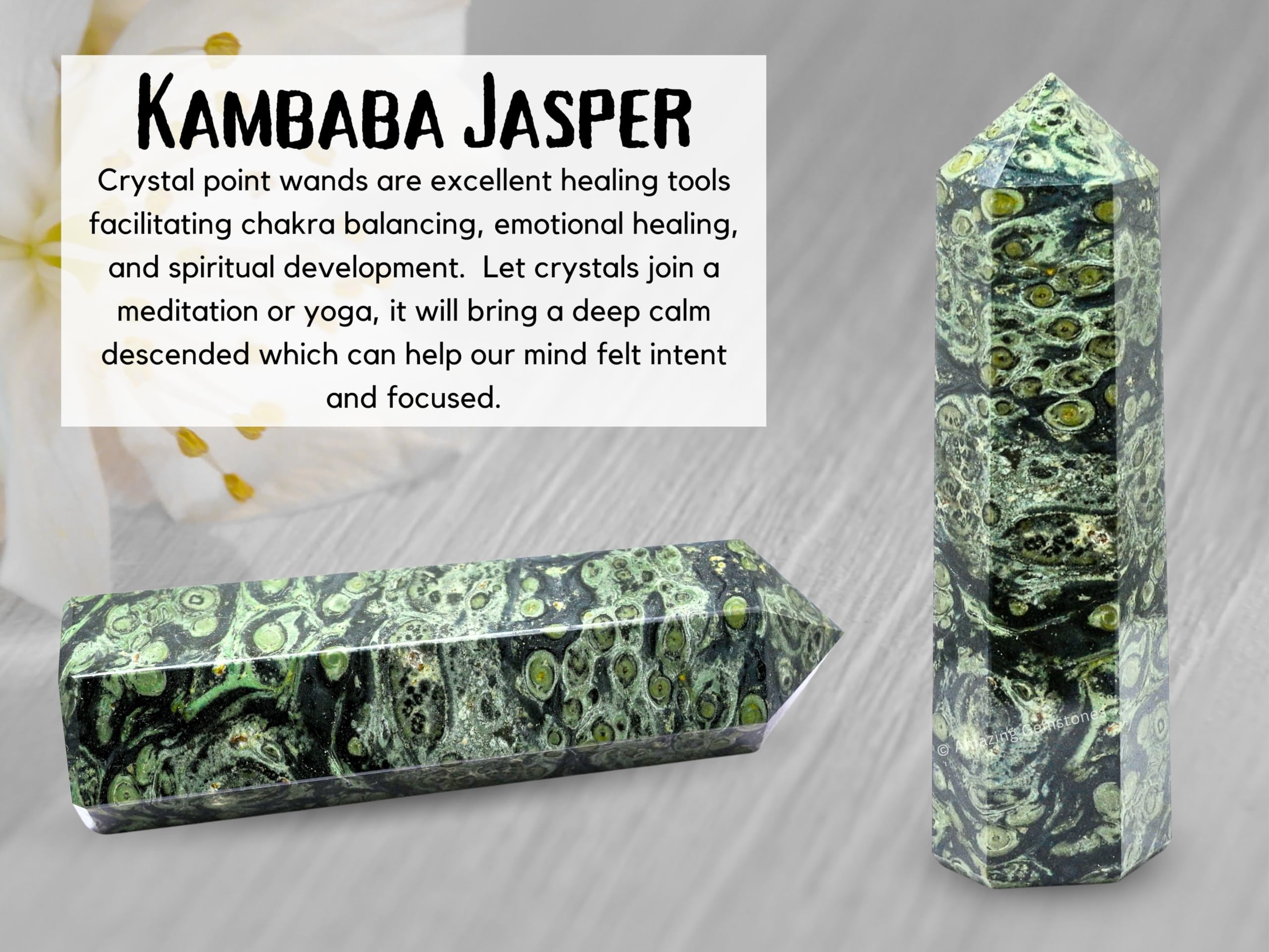 Amazing Gemstone Kambaba Jasper pointe cristal purifie l'espace et apaise les tensions.