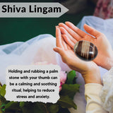 Amazing Gemstone Narmada Shiva Lingam – décoration zen pour bureau ou autel.