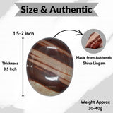 Amazing Gemstone Narmada Shiva Lingam – source d'énergie positive pour votre routine.