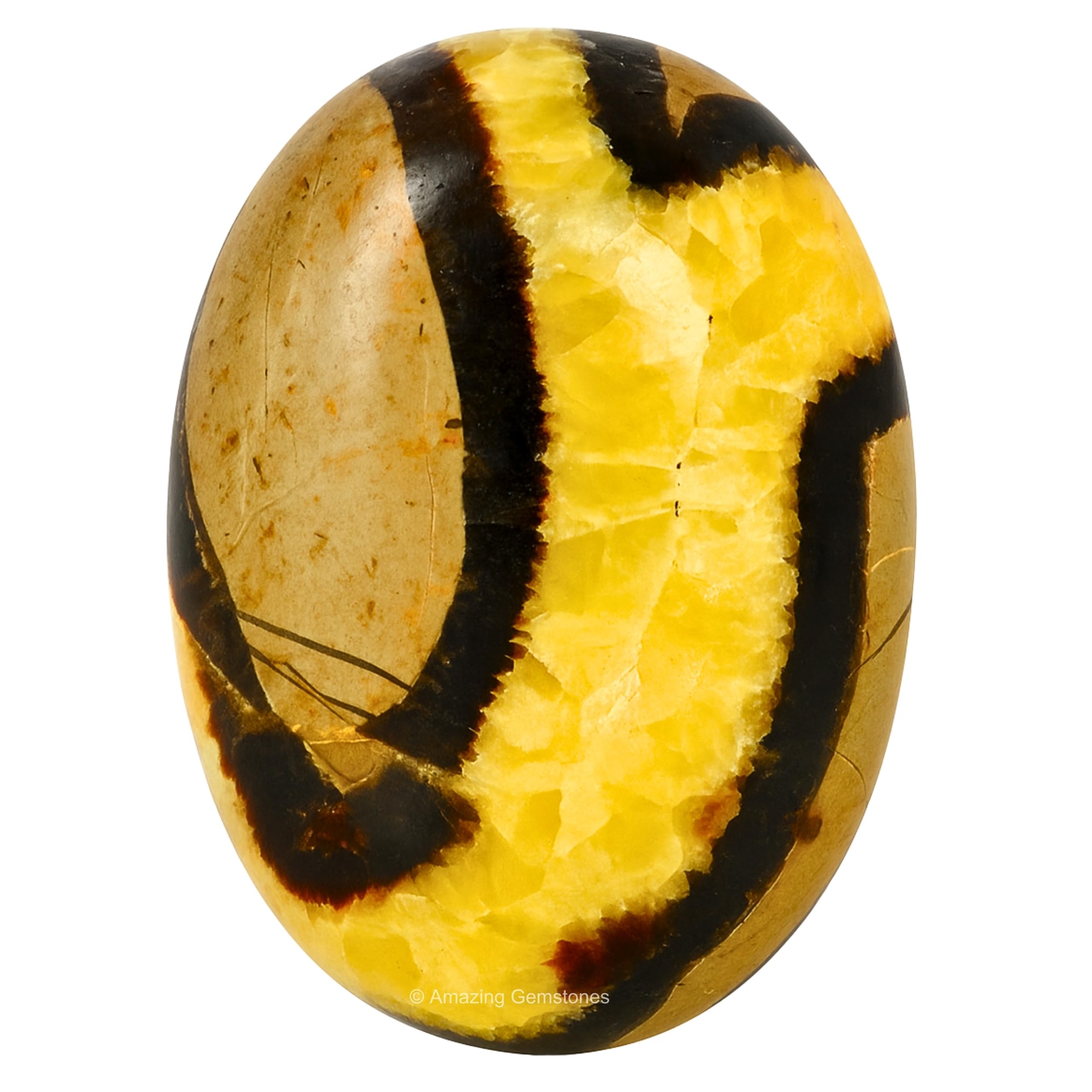 Amazing Gemstone - pierre septariane en main, grande prise pour méditation et énergie calme