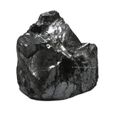 Amazing Gemstone Shungite brut pierre : purification naturelle de l'eau et énergie bien-être