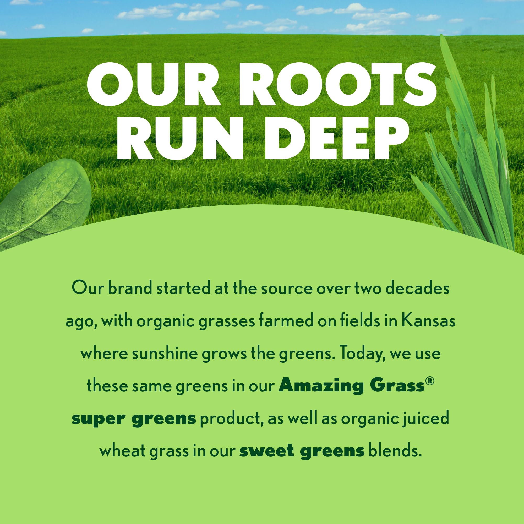 Amazing Grass Greens Superfood cuisson pâtisserie, ajout nutritif dans les recettes.