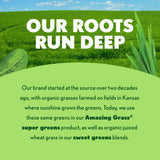 Amazing Grass Greens Superfood cuisson pâtisserie, ajout nutritif dans les recettes.