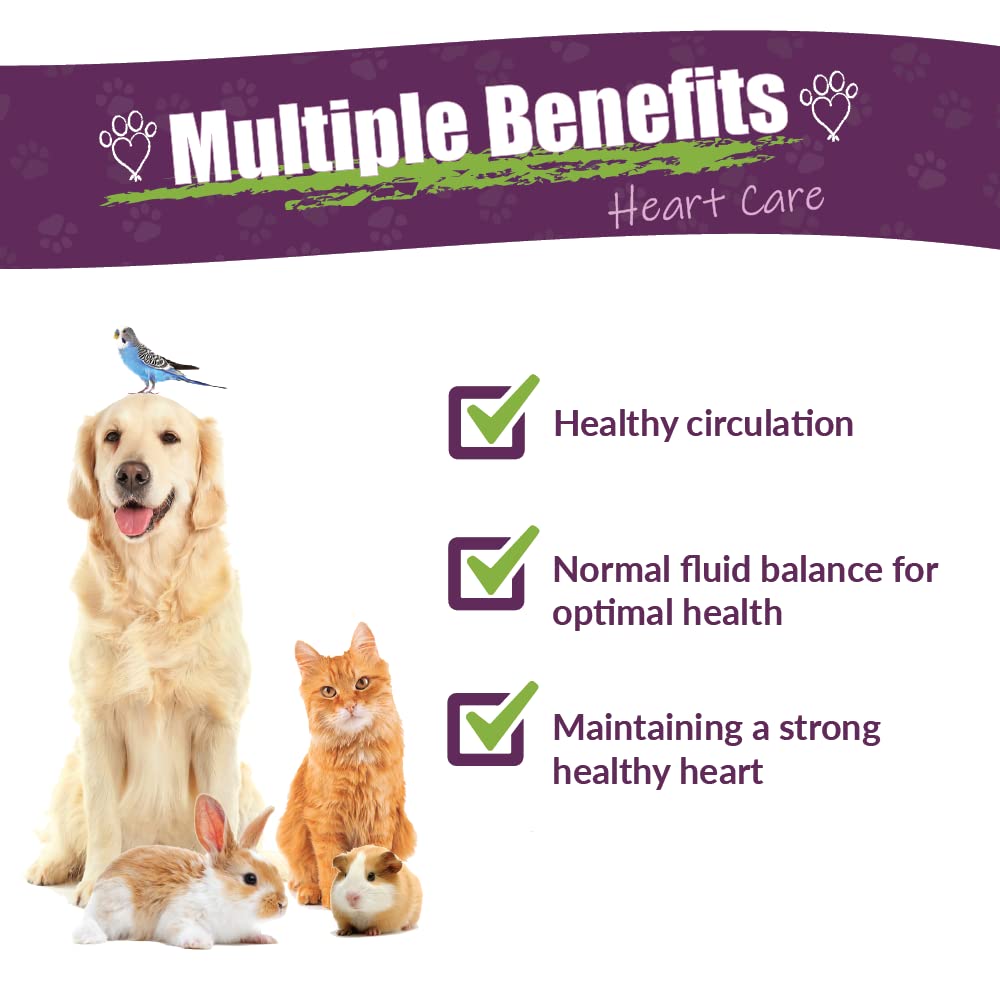 Amber NaturalZ: pipette de dosage facile pour animaux.