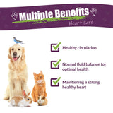 Amber NaturalZ: pipette de dosage facile pour animaux.
