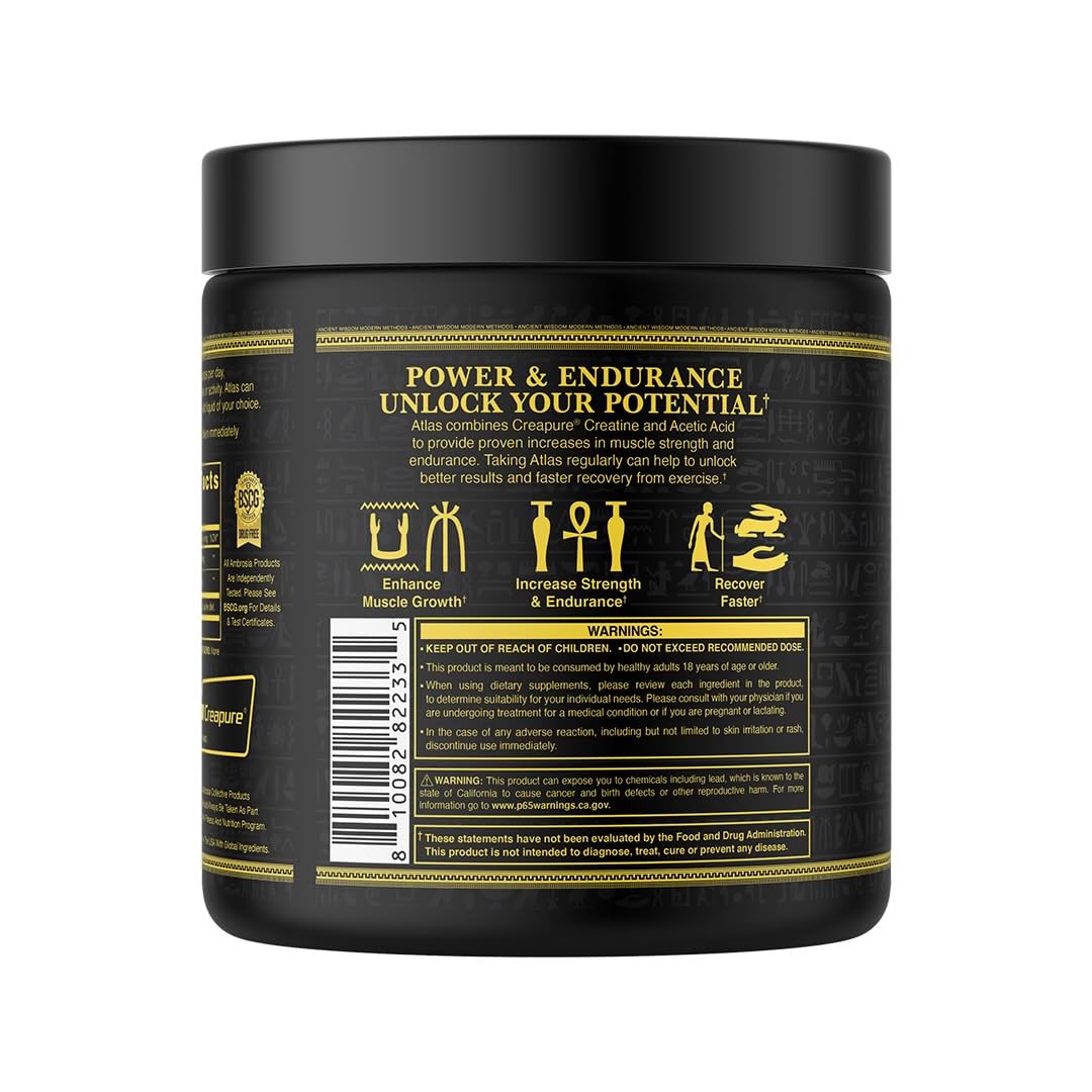 Ambrosia Atlas muscles sollicités et charges lourdes, performance potentielle