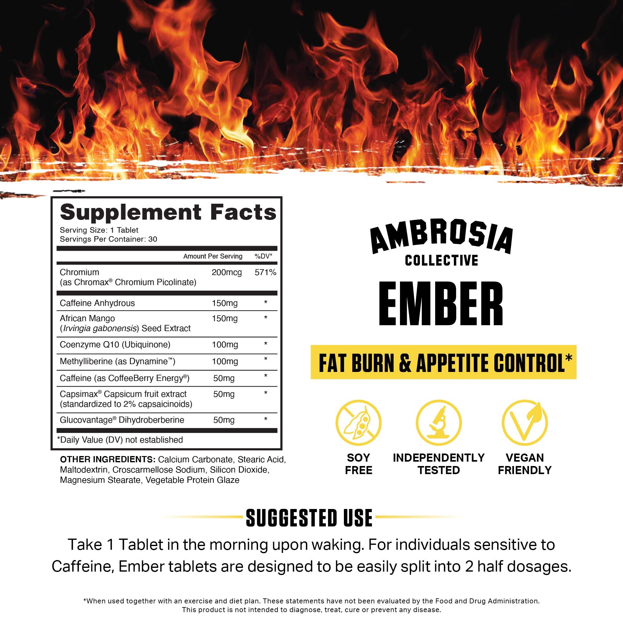 Ambrosia Ember – coq10-formule, antioxydant et soutien potentiel à l'énergie tout au long de la journée.