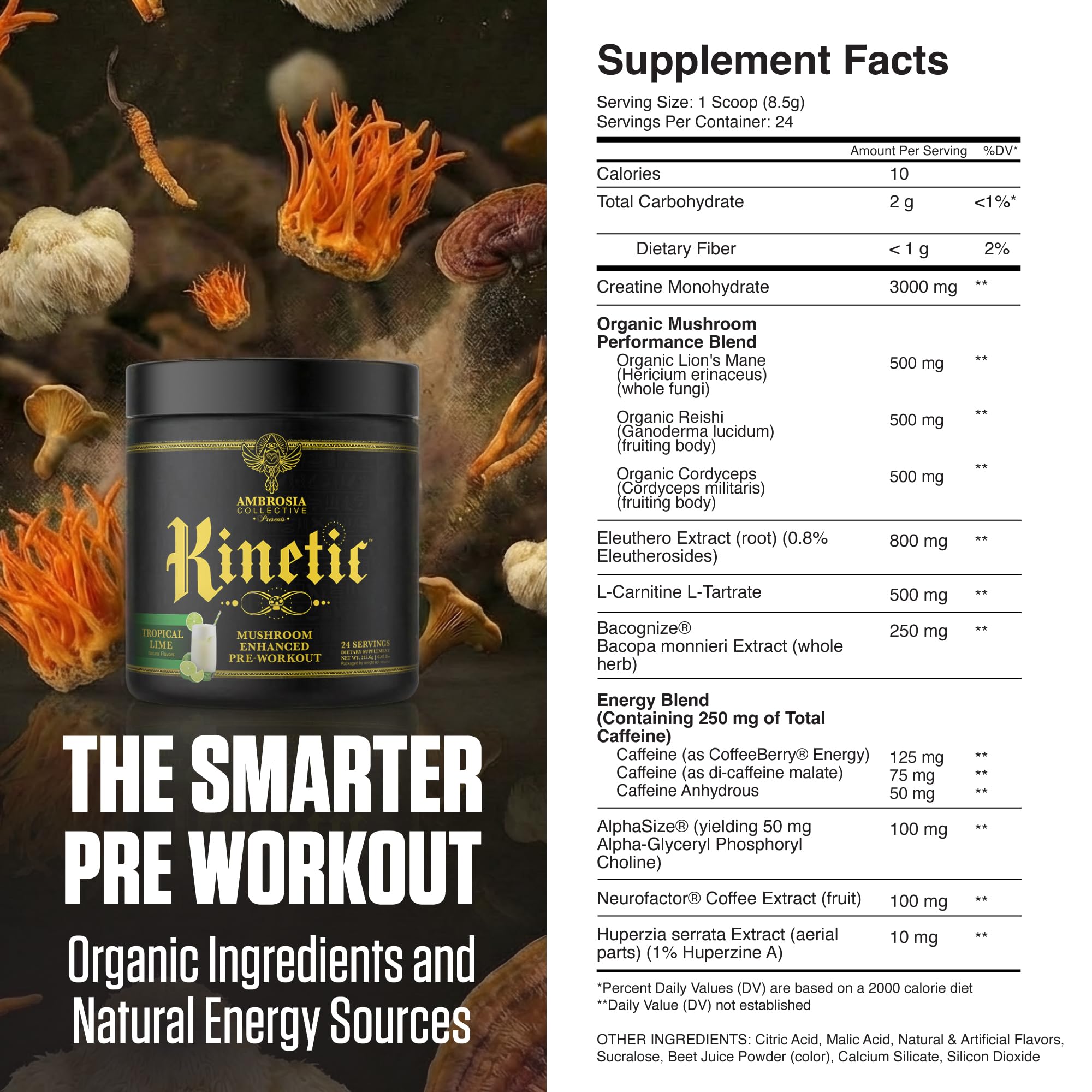 Ambrosia Kinetic – doseur prêt à mesurer pour un mélange précis.