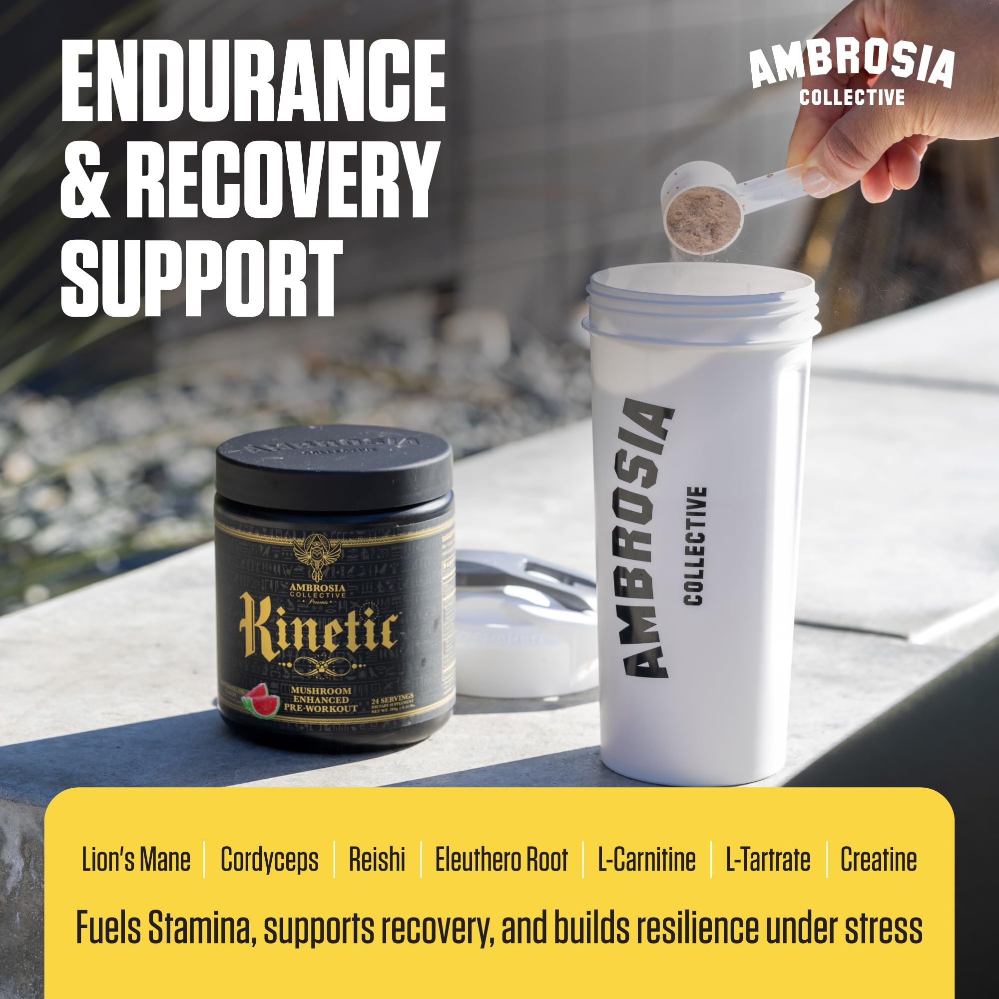 Ambrosia Kinetic – mélange de champignons médicinaux visibles.