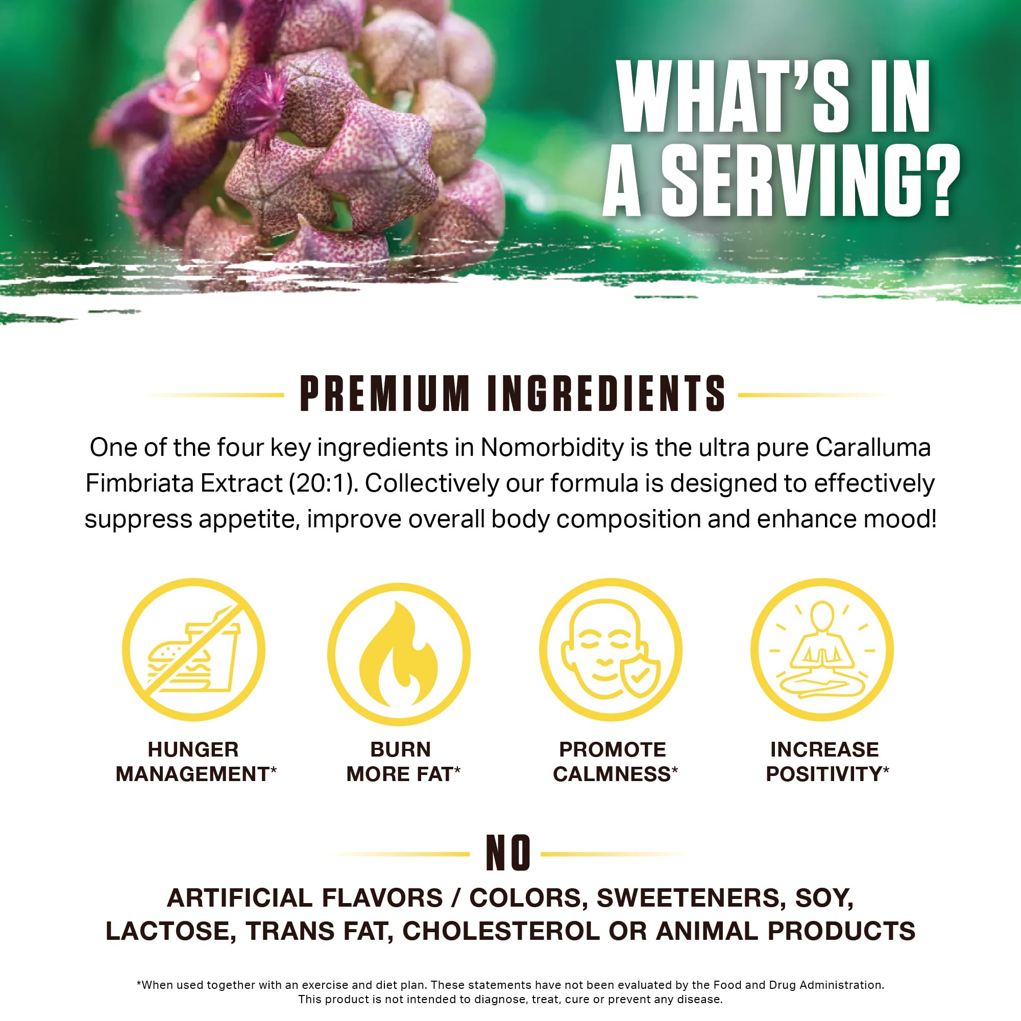 Ambrosia Nomorbidity — dose recommandée pour accompagner l'exercice et le régime.