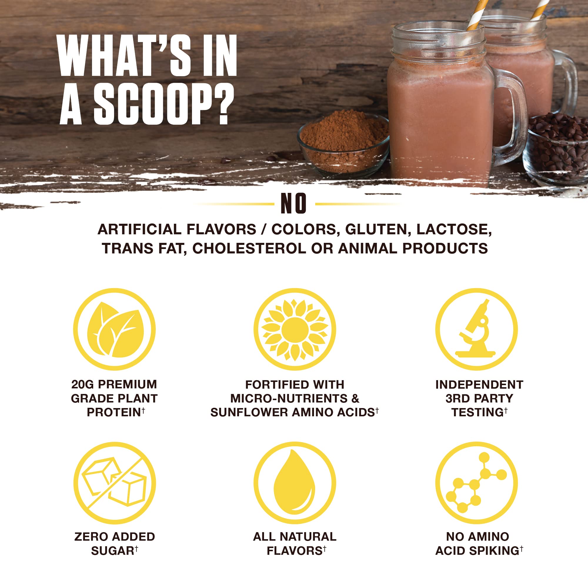 Ambrosia Planta BCAA SunBCAA fermenté au tournesol pour soutien léger.