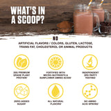 Ambrosia Planta BCAA SunBCAA fermenté au tournesol pour soutien léger.