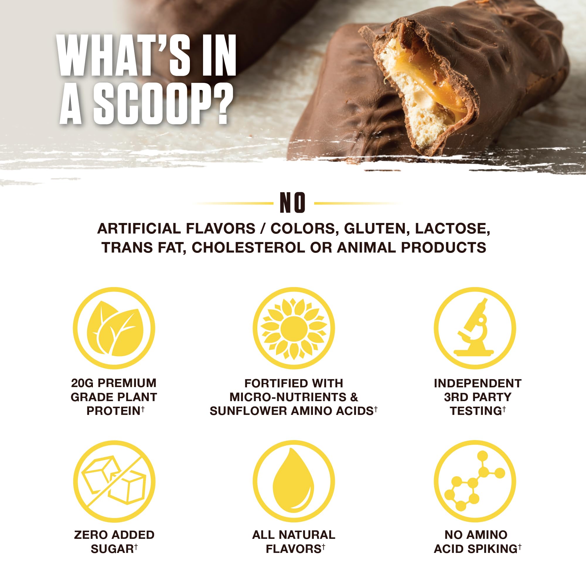 Ambrosia Planta saveurs gourmet – variété raffinée pour varier les plaisirs.