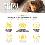 Ambrosia Planta saveurs gourmet – variété raffinée pour varier les plaisirs.