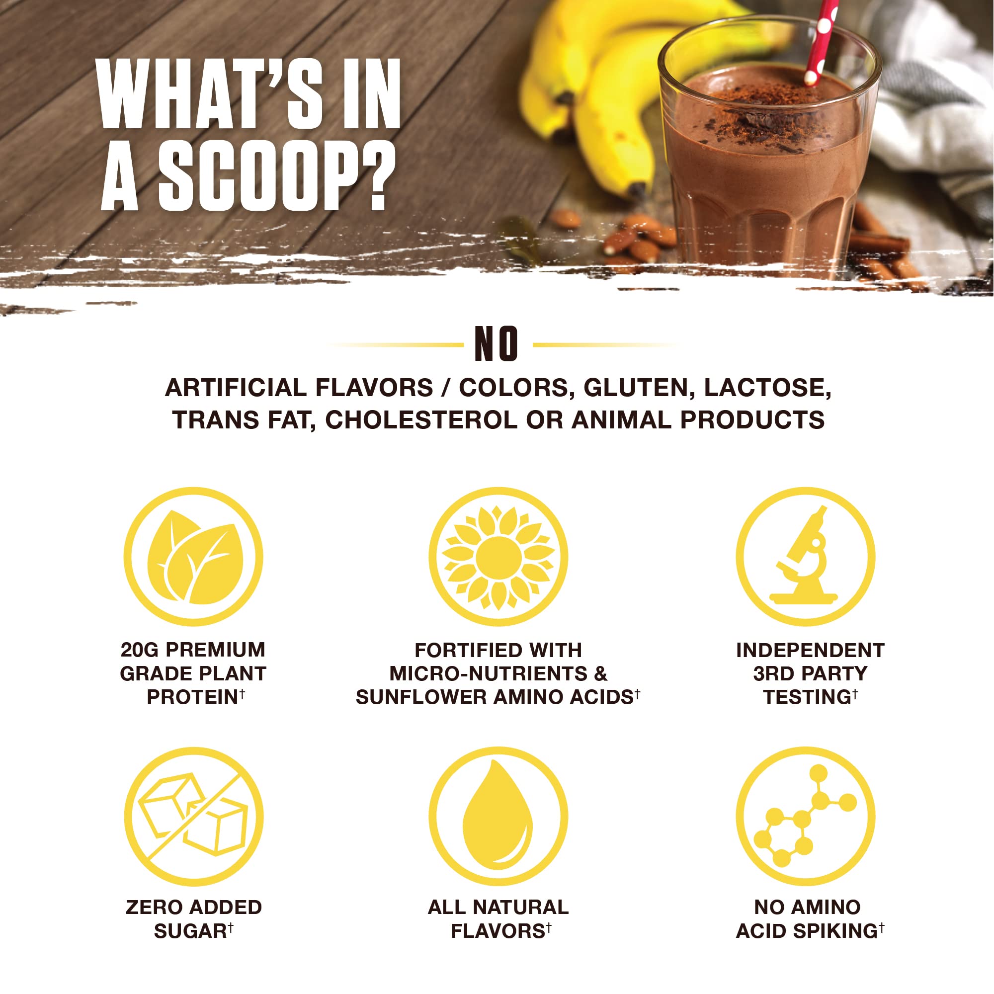 Shake prêt avec Ambrosia Planta Banane Maple dans un verre.