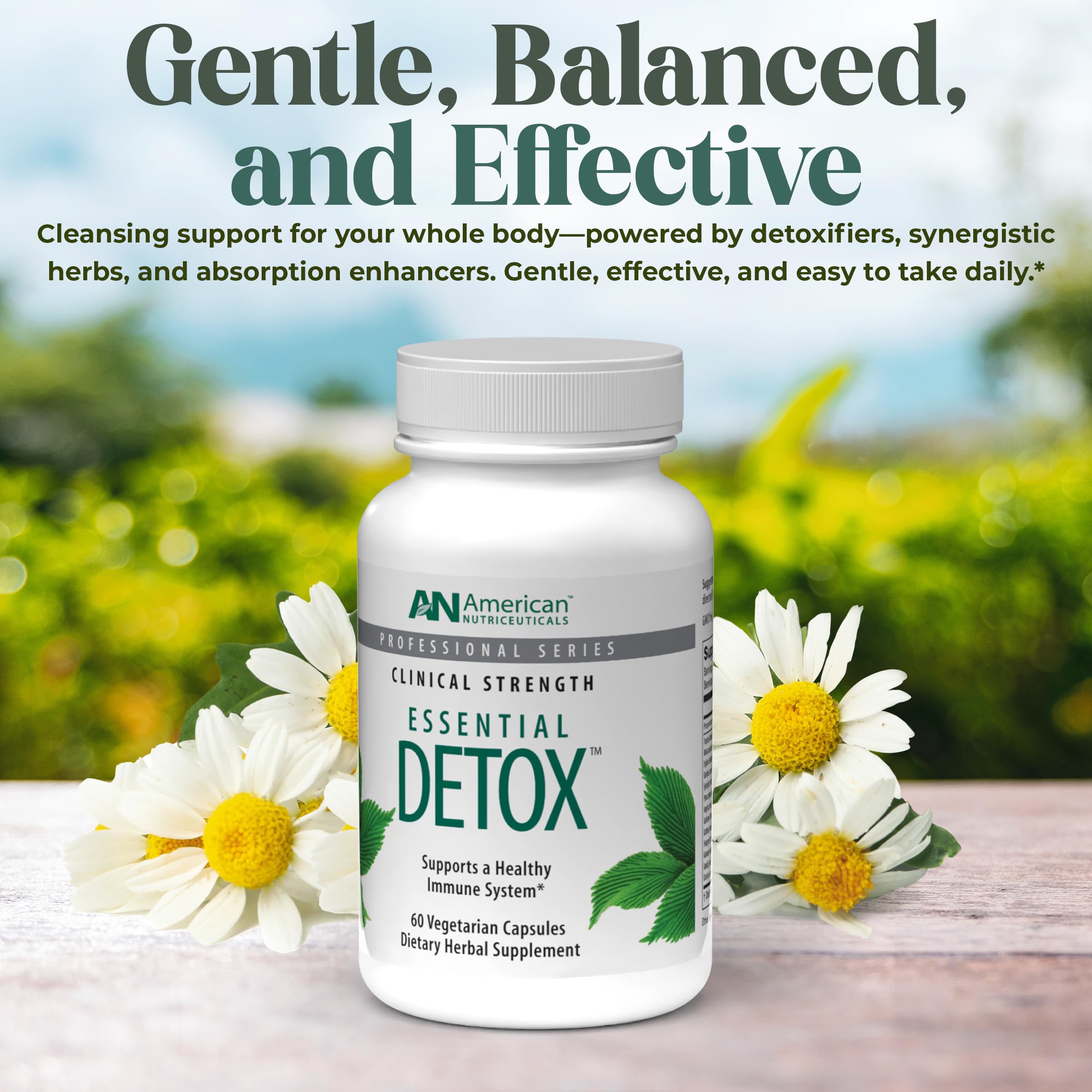 American Nutriceuticals Détox Essentielle – close-up sur les ingrédients naturels