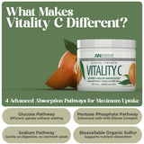 Doseur de Vitamine C American Nutriceuticals pour des apports faciles et précis.