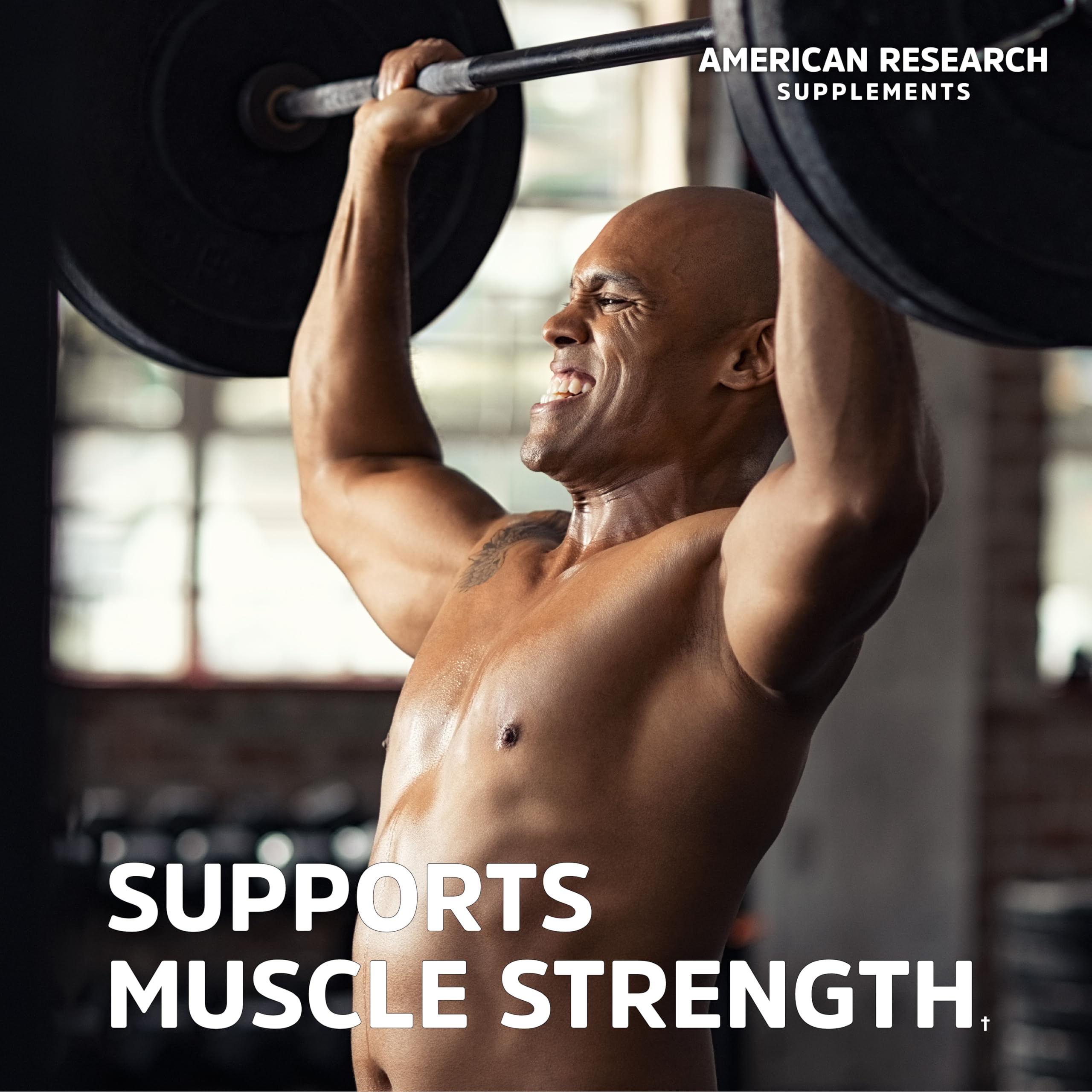 American Research Supplements Créatine Monohydrate – dose quotidienne de 5 g par portion