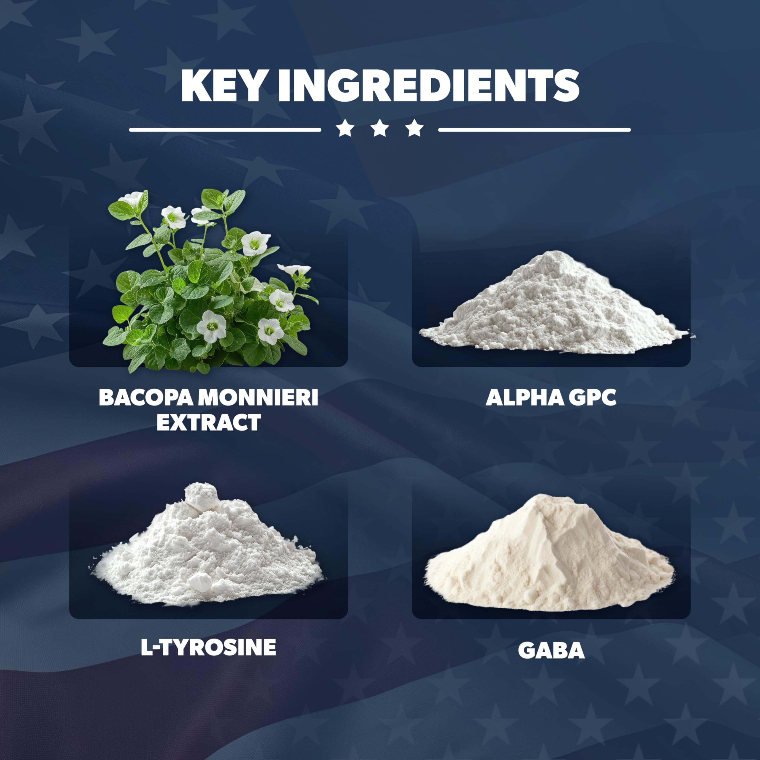 AMERICAN VITALITY Brain Formula: aperçu des ingrédients clés Bacopa et GABA pour la mémoire.
