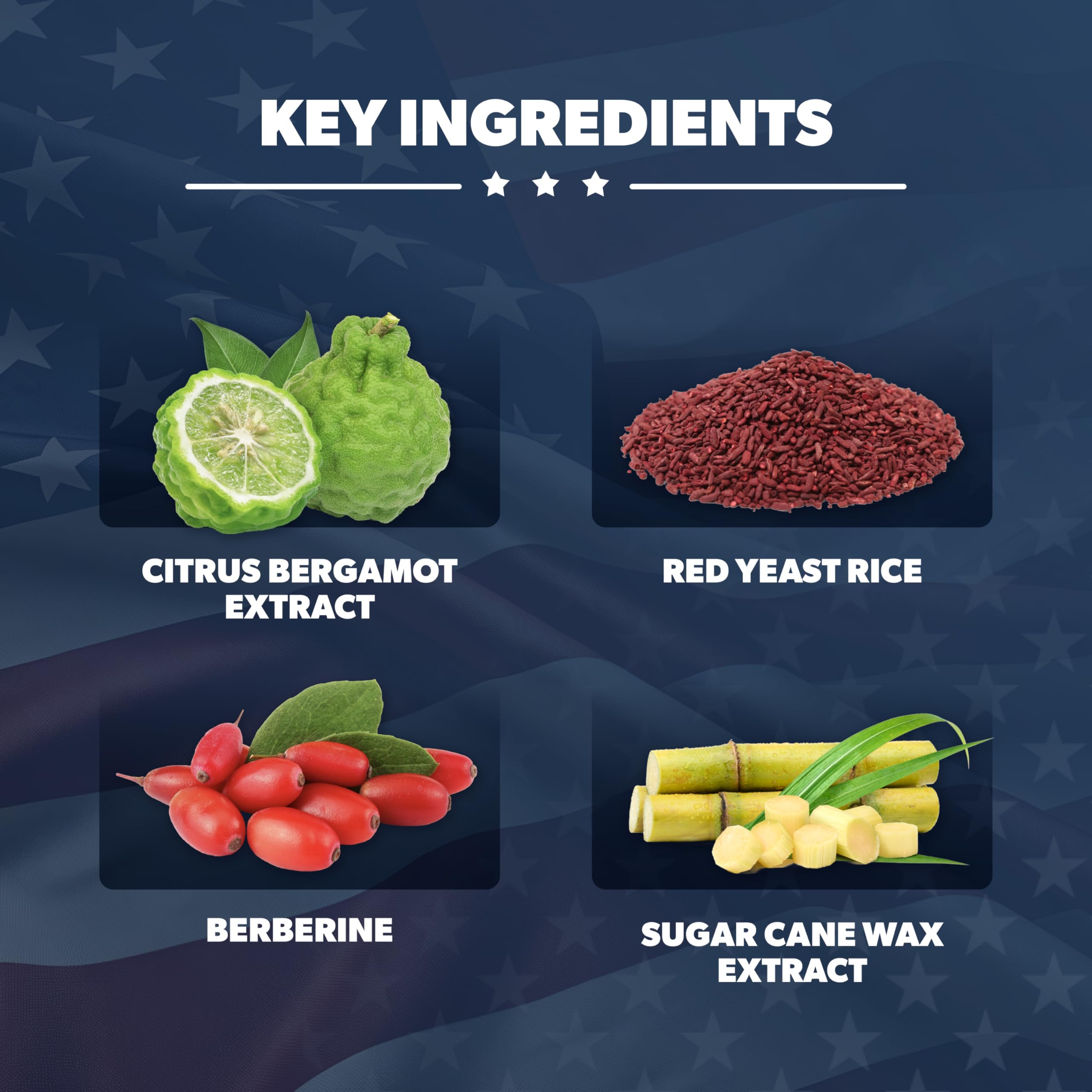 AMERICAN VITALITY Liberty Heart – Berberine comme ingrédient clé pour le métabolisme lipidique.