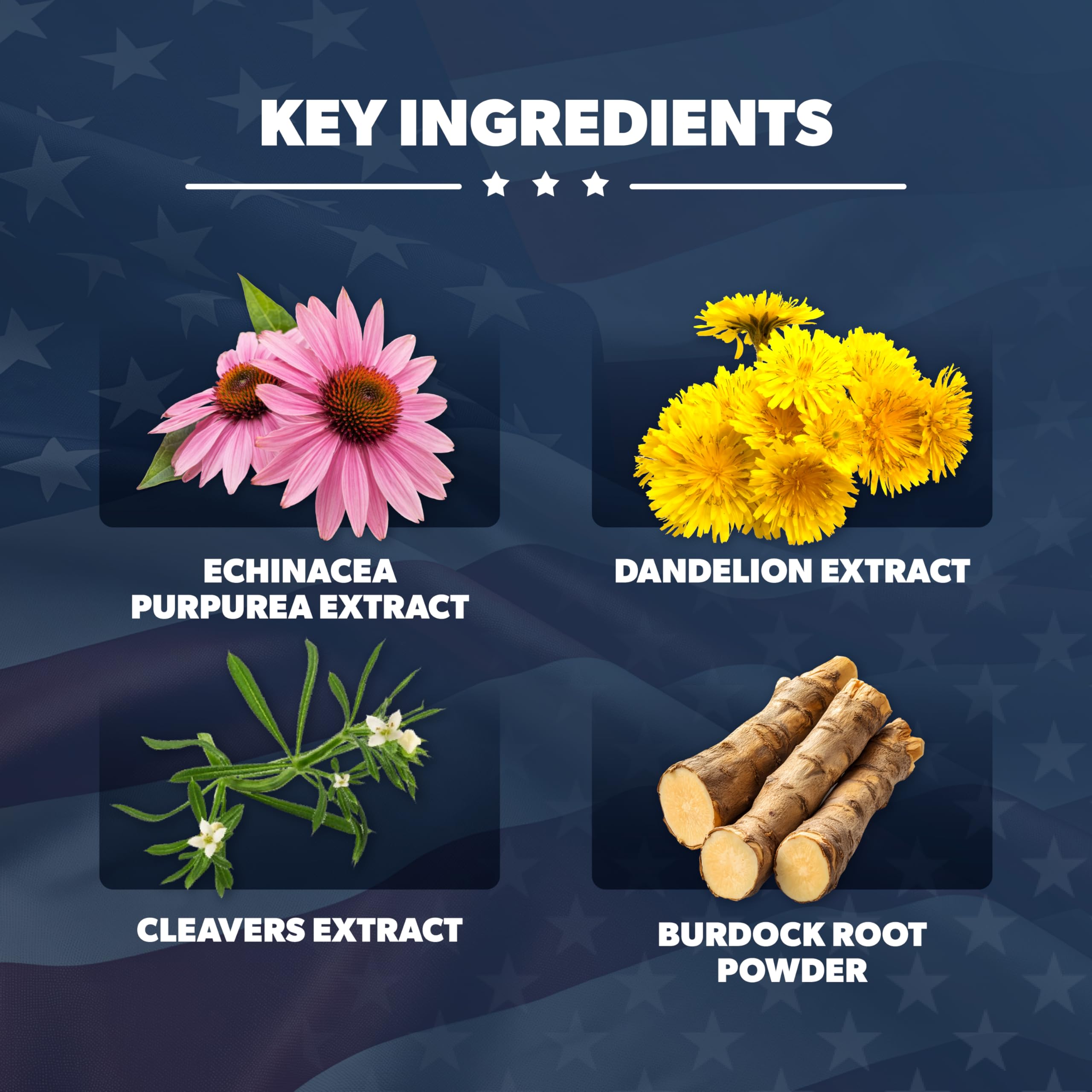 AMERICAN VITALITY LymphaVive - ingrédients bromélaïne et pissenlit visibles