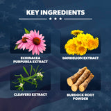 AMERICAN VITALITY LymphaVive - ingrédients bromélaïne et pissenlit visibles