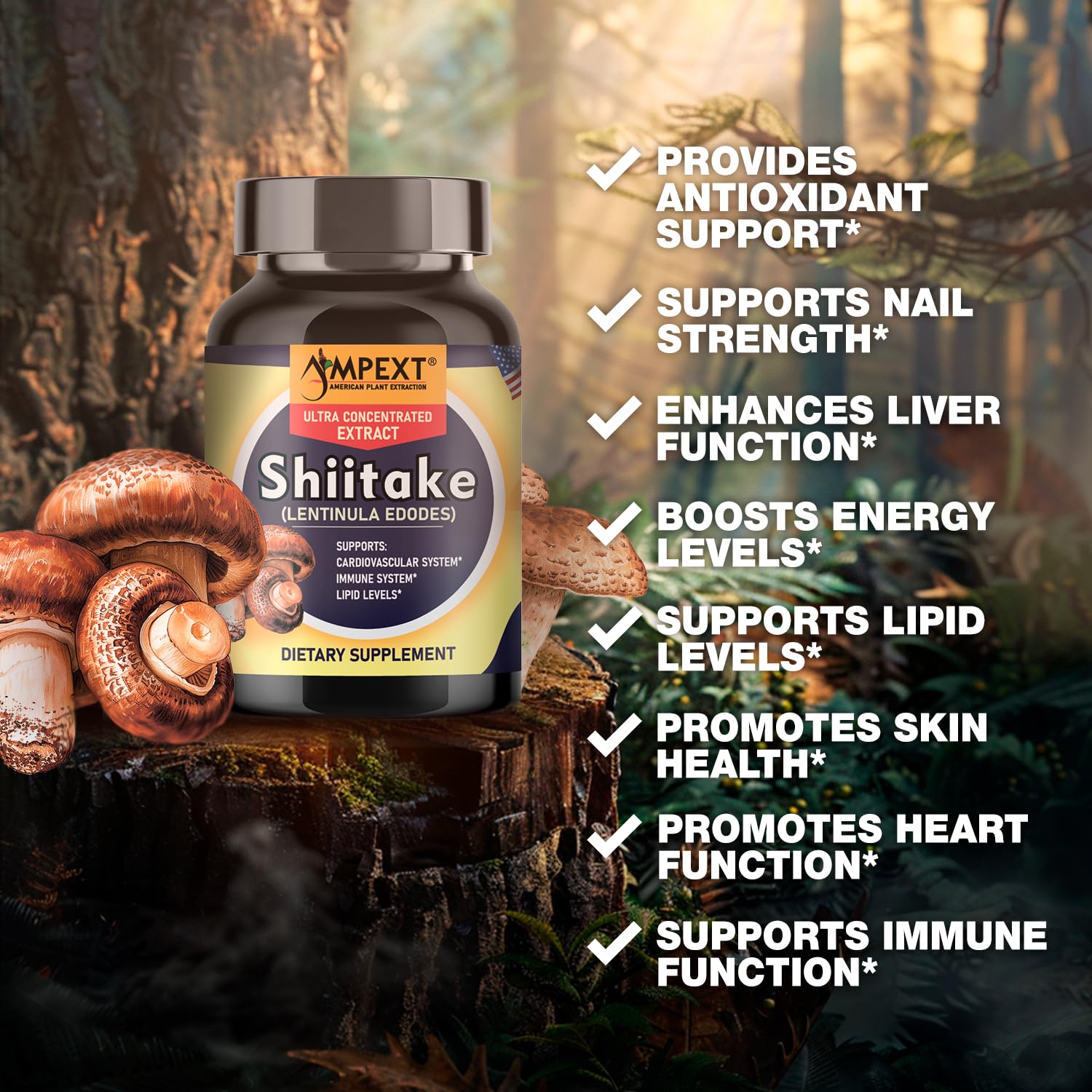 AMPEXT Shiitake Extrait - antioxydant naturel pour votre routine bien-être.