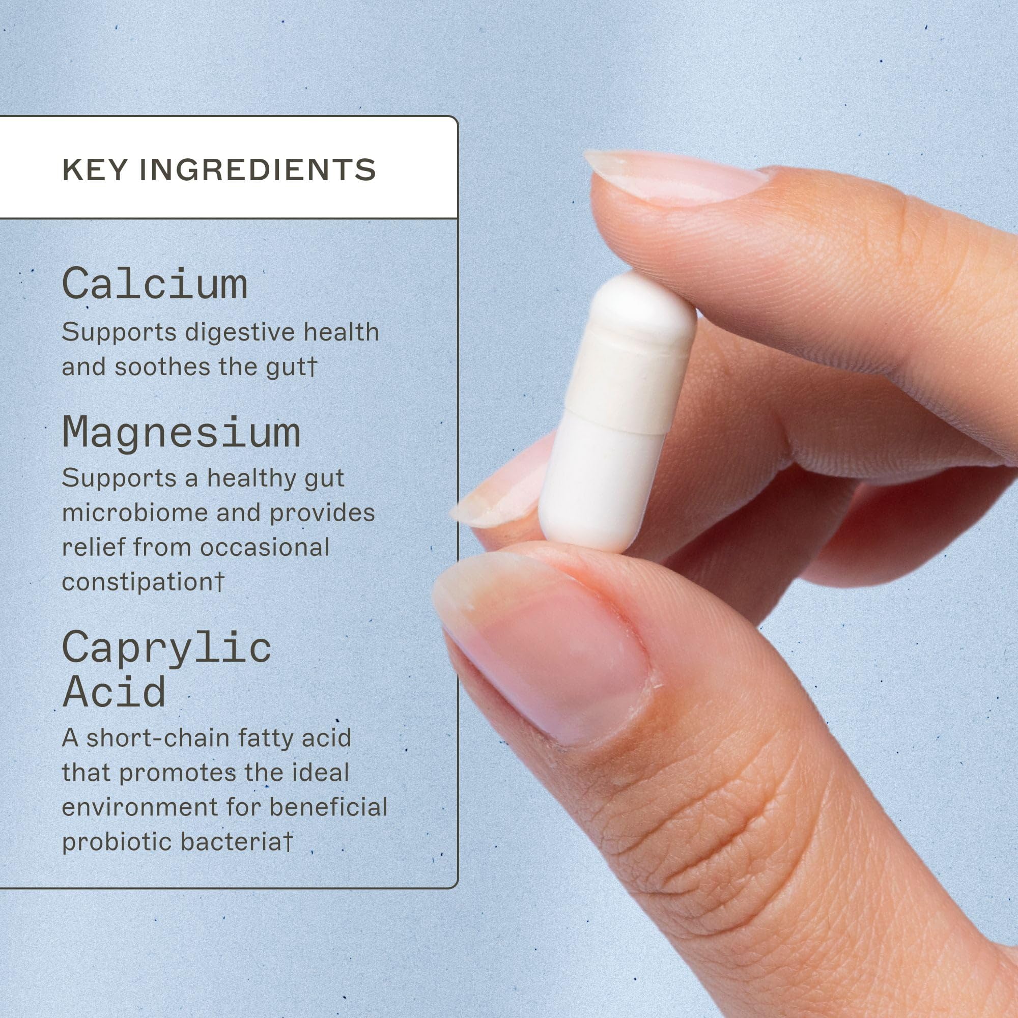 Étiquette Amy Myers MD Caprylic Acid; rappel clair des ingrédients et bénéfices potentiels.