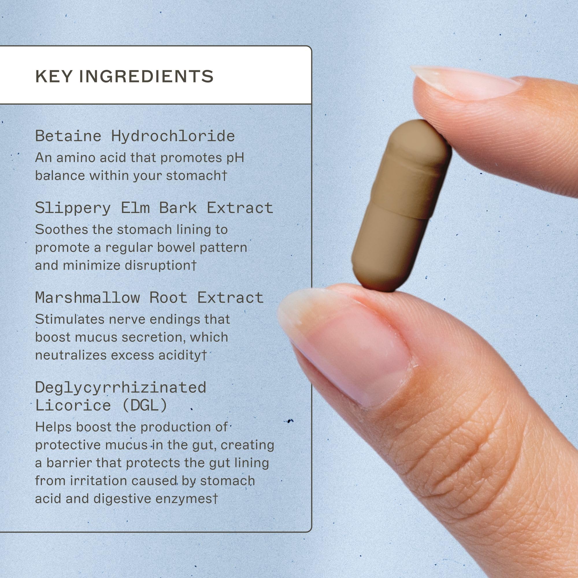 Amy Myers MD Adrenal Support – Etiquette du flacon avec informations des actifs adaptogènes.