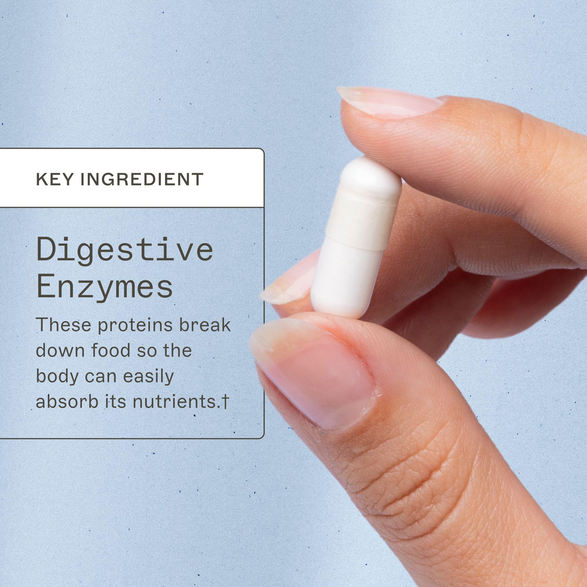 Candifense: capsules du soir pour instaurer une routine digestive.