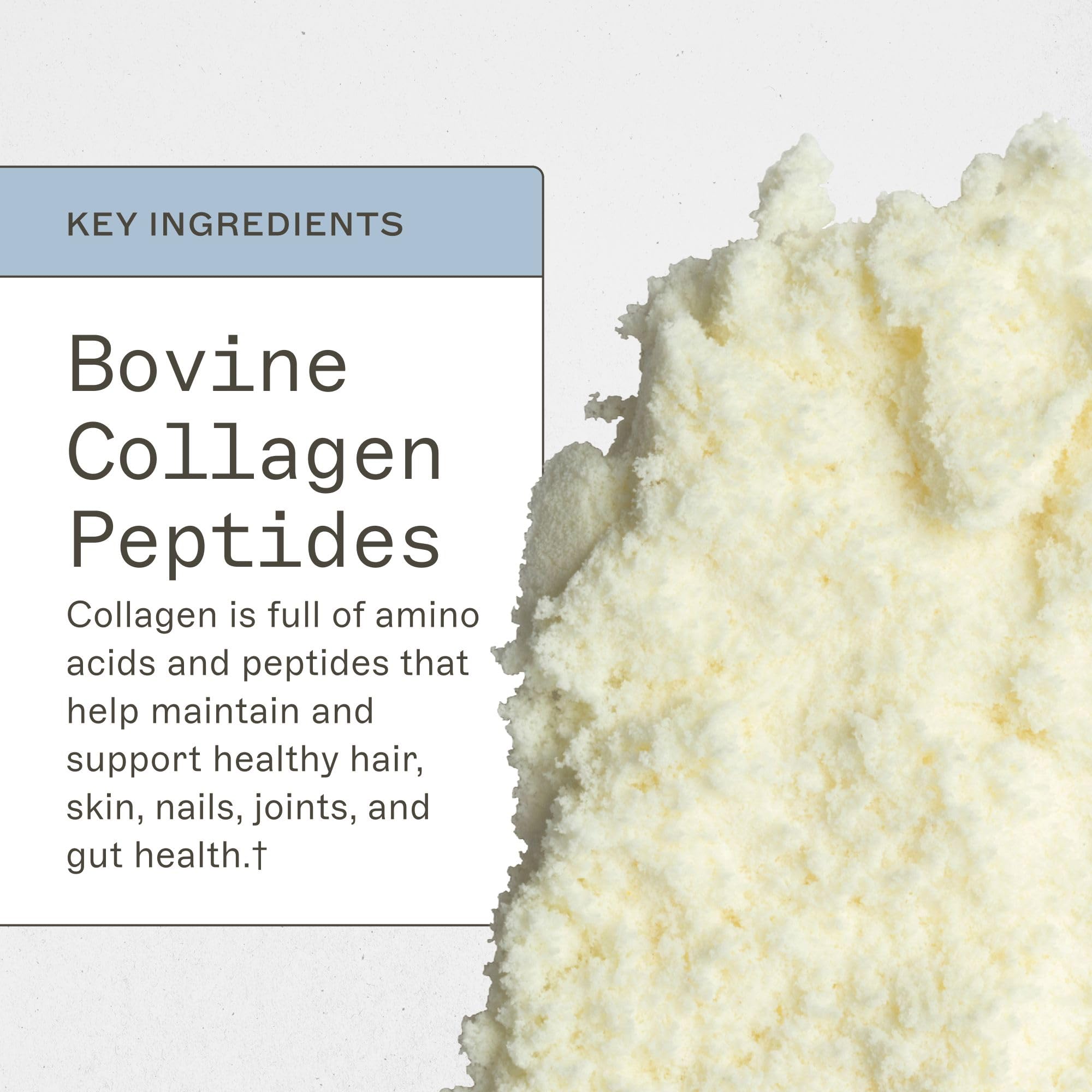 Amy Myers MD Collagen Protein, poudre fine, mélange facile dans vos boissons.