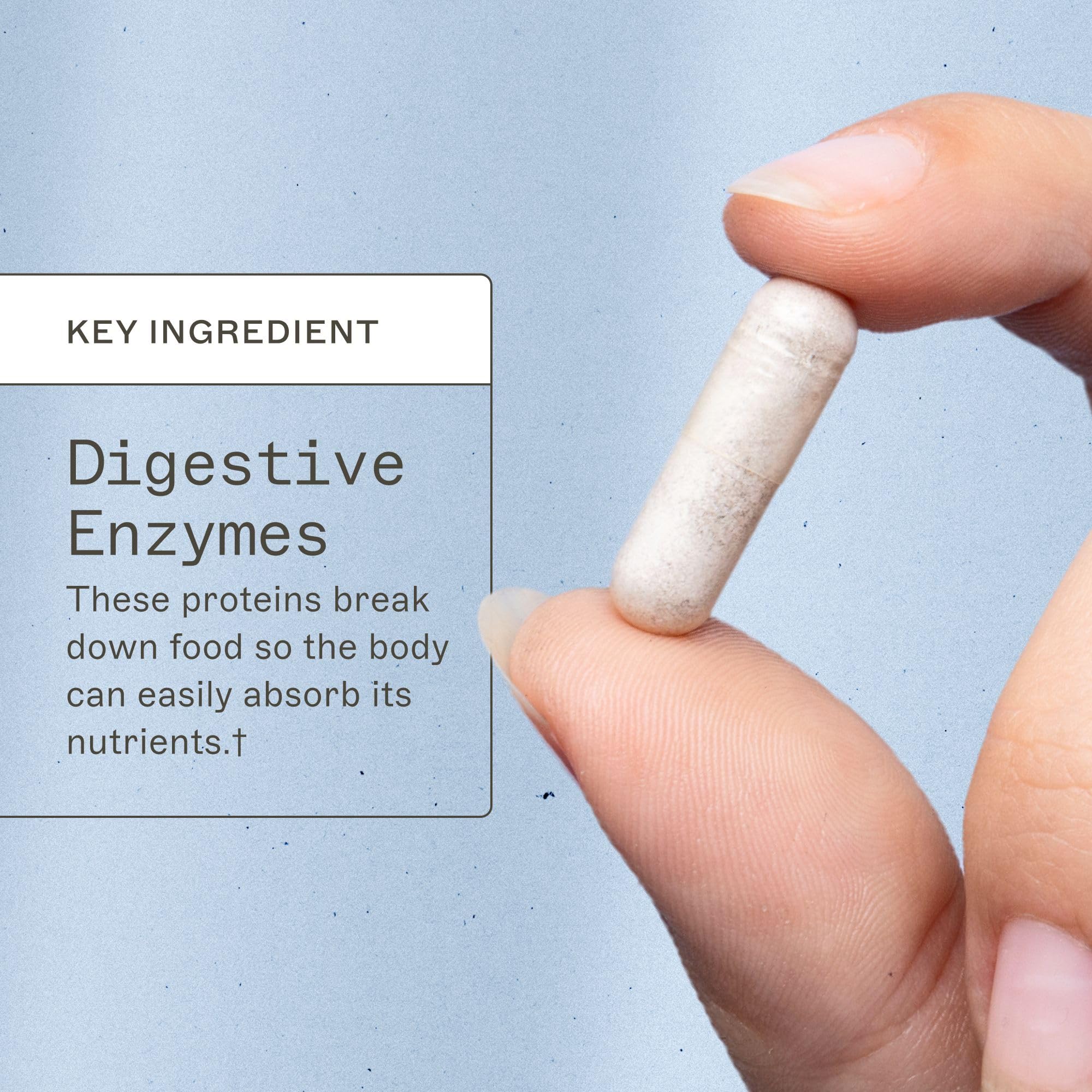 Amy Myers MD Enzymes Complets, capsules prêtes à être prises au quotidien.