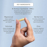 Gélules Microb-Clear: capsules faciles à avaler pour un usage quotidien et un confort digestif.