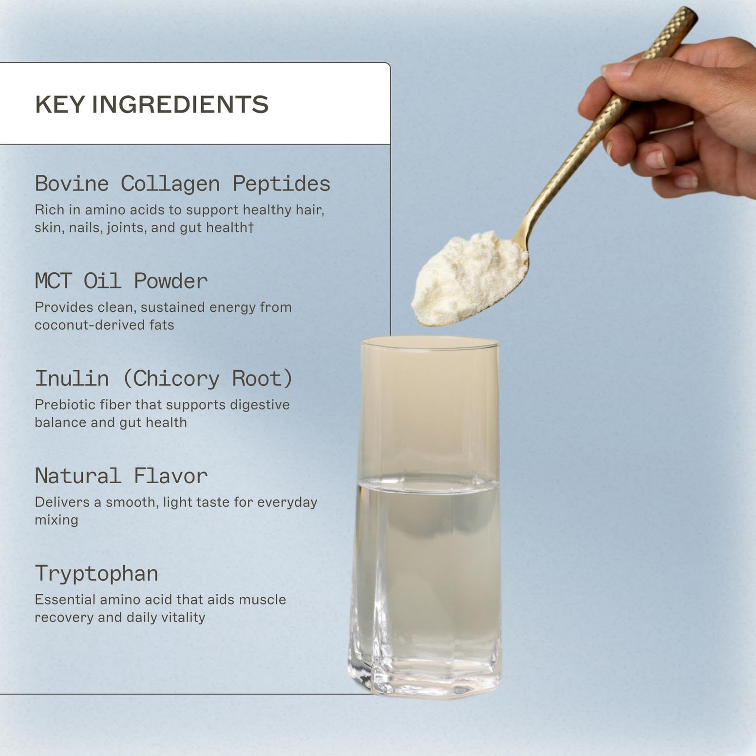 Amy Myers MD poudre vanille en bouteille, pratique pour une boisson quotidienne.