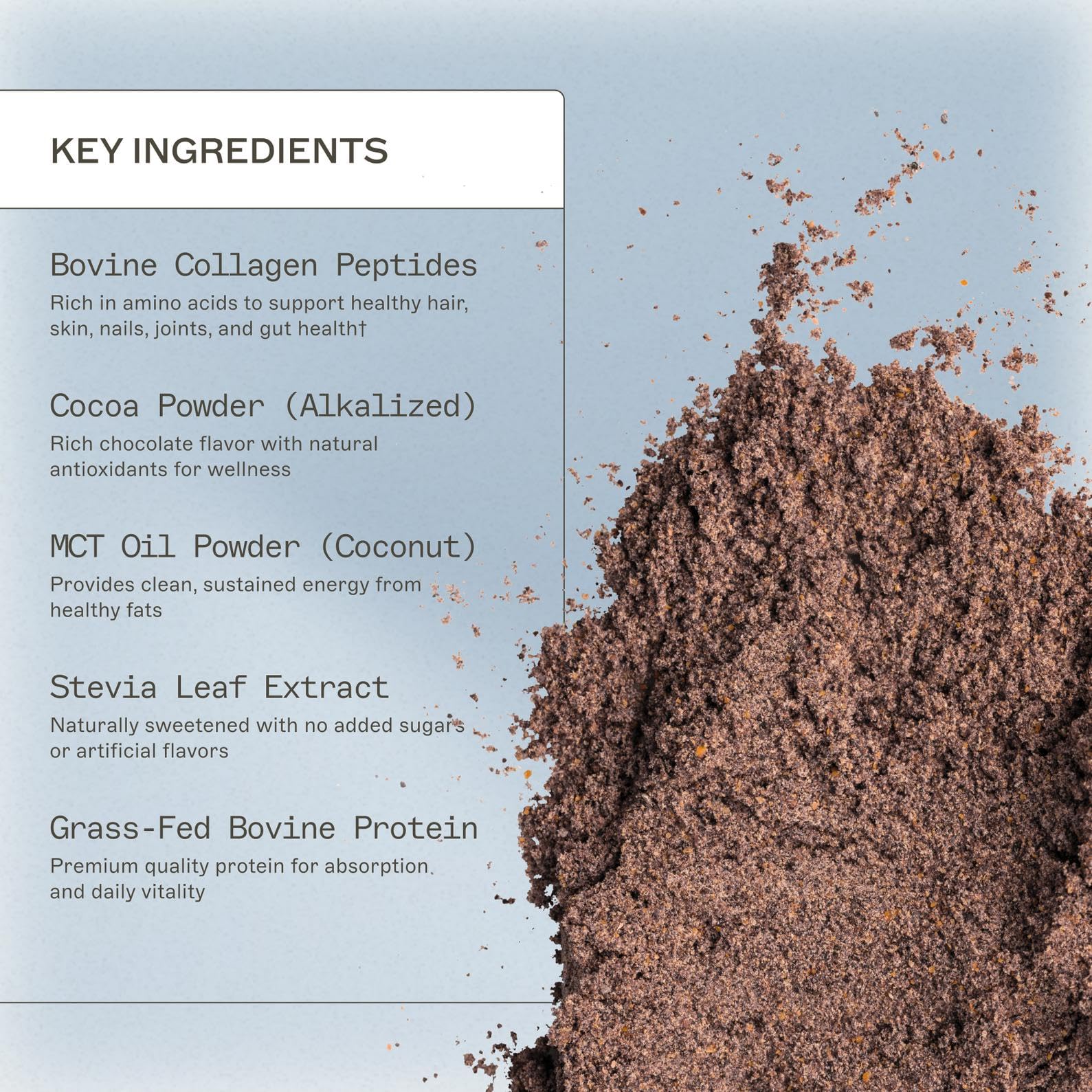 Préparation rapide du shake Paleo Double Chocolat Amy Myers MD