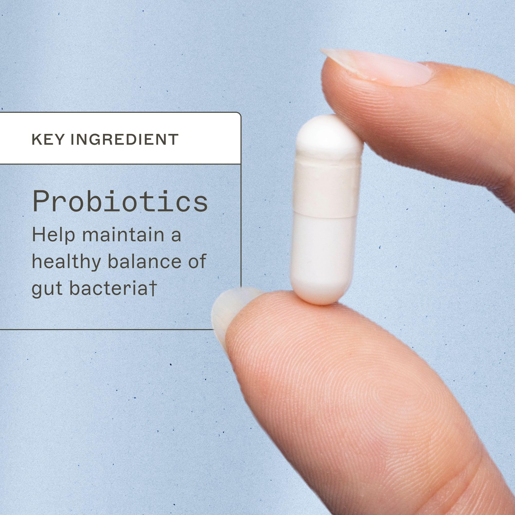 Gélules compactes d'Amy Myers MD Probiotiques pour une utilisation quotidienne.