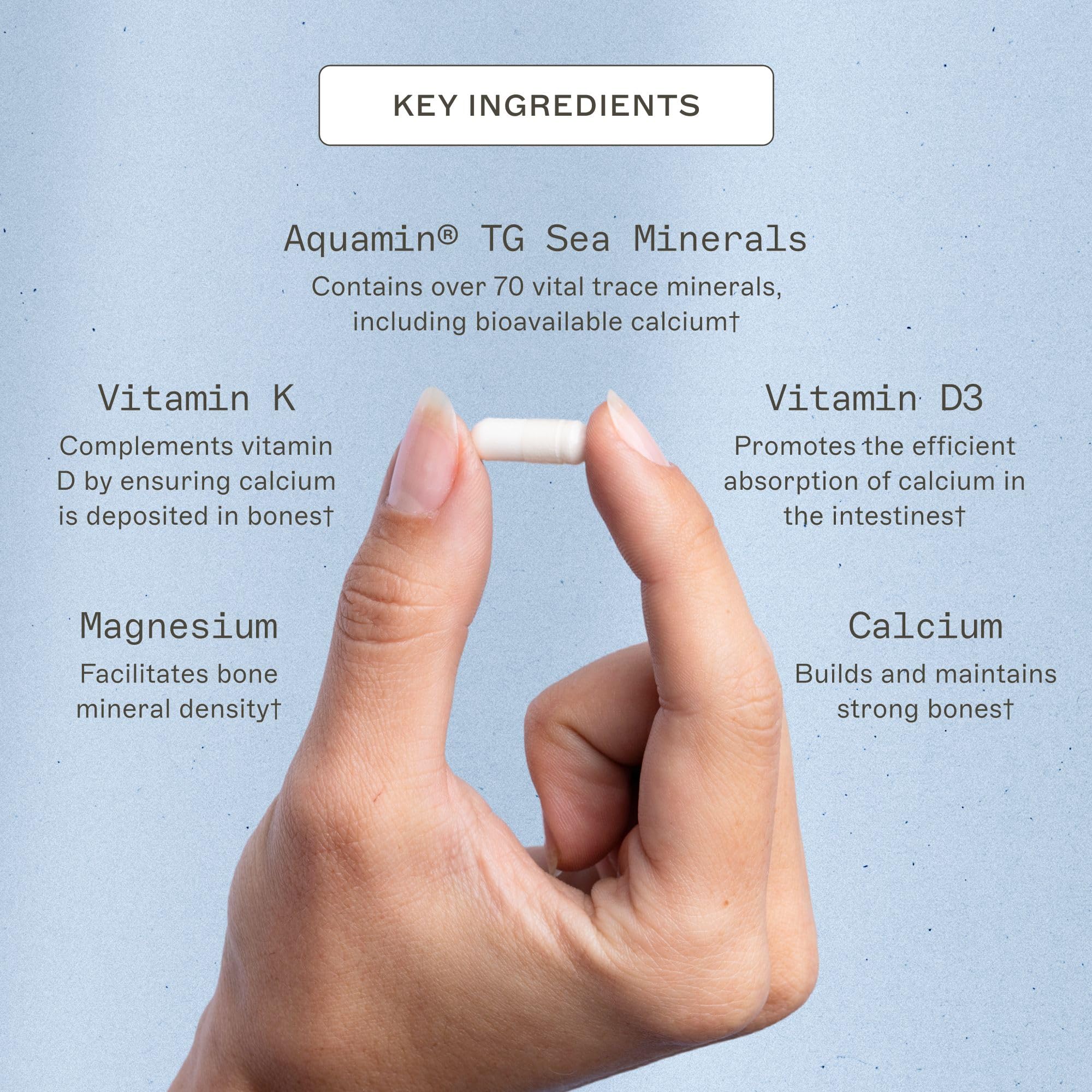 Amy Myers MD OsteoDura – tablettes compactes montrées format pratique