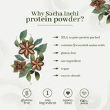 ANCESTRAL ORGANICS Sacha Inchi poudre dans un bol – mélange nutritif pour petit-déjeuner équilibré