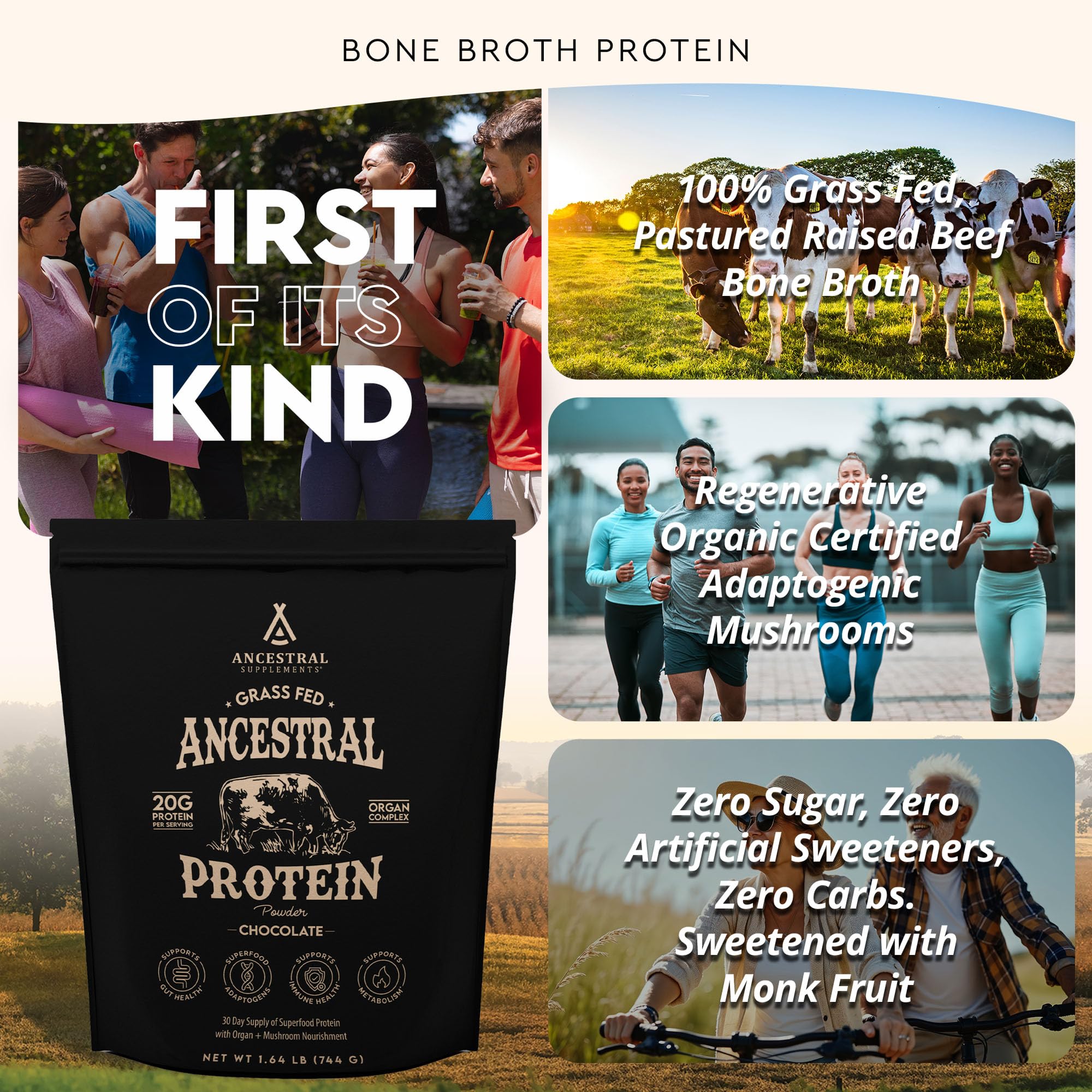 Ancestral Protéine Chocolat : mélange-dans-tasse illustre un shake gourmand.